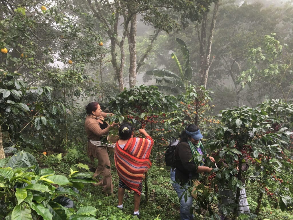 Nicaragua Las Diosas